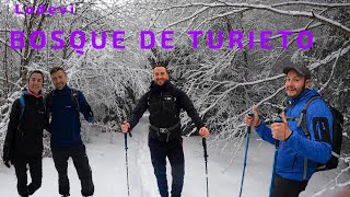 BOSQUE DEL TURIETO - Lodevi