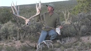 Giant Arizona Strip Dead Bucks