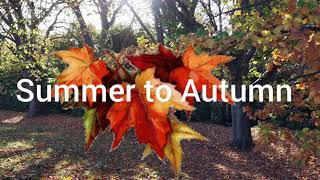 Beautiful Changes of Summer to Autumn.....  Nature is really amazing.