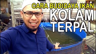 Budidaya Ikan Nila di Lokasi Sempit? Ini Solusinya!