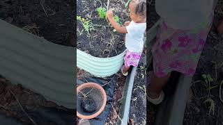 Planting in December 🧑🏾‍🌾 with the little ones #familygarden #gardening #floridagardening