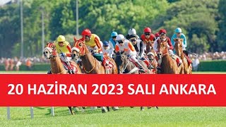 20 HAZİRAN 2023 SALI ANKARA AT YARIŞI TAHMİNLERİ VE YORUMLARI