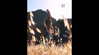 enjoy your life | successful life whatsapp status enjoying life #trending #enjoythelife #enjoy #life