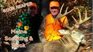 Big Buck Scouting & Maine Buck Success! - Buck Reaper