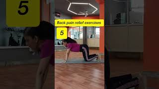 5 Back pain relief exercises #neelamkumar #backpainexercises #breathsutra