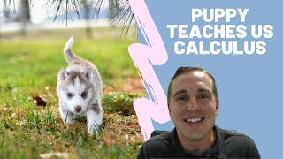 Calculus Position Velocity Acceleration, Physics Kinematics | Puppy Running Back and Forth