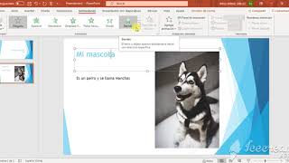 Mini-cápsula 22: POWERPOINT. Cómo agregar animaciones.