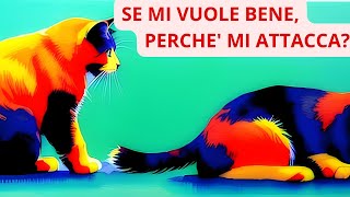 Gatti Aggressivi: Le 10 Ragioni dietro gli Attacchi Inspiegabili