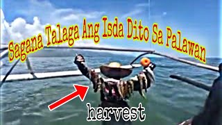 sagana Talaga Ang Isda sa palawan shore casting #fishingadventure Philippines ML EP_ 20