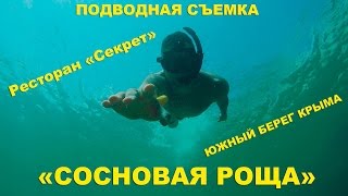 Отель "Сосновая Роща" / Подводная съемка / Мисхор / Гаспра / Ялта / Крым 2016