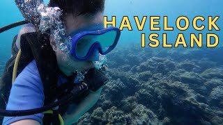 No.1 Scuba Diving Destination In India | Havelock, Andaman