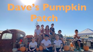 Dave's Pumpkin Patch : OCT 2020