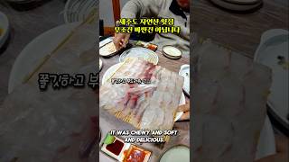 제주 자연산 횟집 1티어