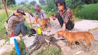 Dua anjing cebol cabe rawit ‼️ Tes Armada baru langsung 8 poein