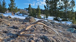 SHED HUNTING 2021!!! (Episode 3) All Brown Elk Sheds! "Hanger Series"