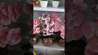 arranjos de orquídeas artificiais  #shorts