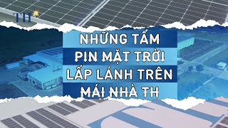 Những tấm pin mặt trời lấp lánh trên mái trang trại của TH