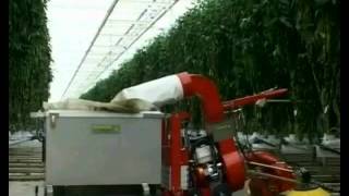 Bladzuiger op buisrails voor paprikakwekerijen Leaf sweeper on piperail for pepper farms