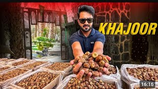 I Traveled 415 km to buy these spicel dates #yutubshort #viralvideo #shortsviral #saudiarabia