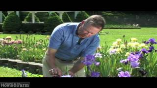 Iris Garden at Ellington Agricultural Center in Nashville