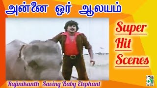 Rajinikanth Rescuing Baby Elephant | Annai Oru Aalayam