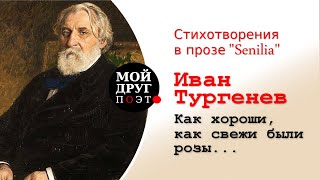 И. С. Тургенев - Как хороши, как свежи были розы  |  Стихотворения в прозе "Senilia"  |  Поэзия