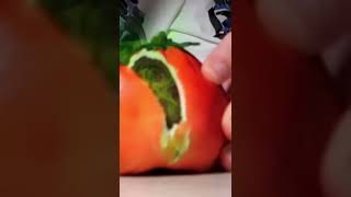 T3DDY COMEU TOMATE?