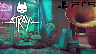 Stray PS5 Gameplay - Midtown