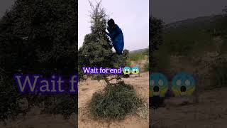 Boy big jump 😱😱😱.#trendingshorts #viralvideo #viral