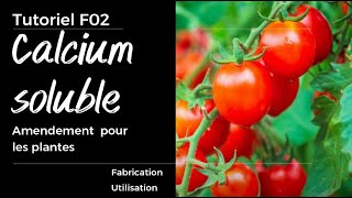 F02 - Amendement facile, du calcium pour les plantes