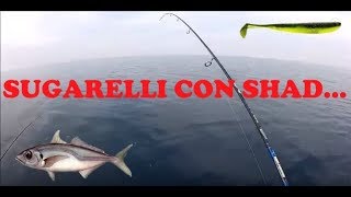 Bolentino Ultralight "Sugarelli con Shad da 2"