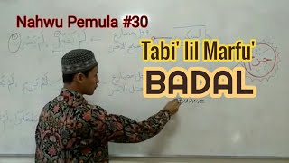 BELAJAR NAHWU - Untuk Pemula #30 (Badal /Tabi' lil Marfu')