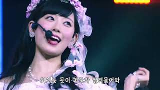 【 자막 】 NMB48 - 나는 없어 (僕はいない)