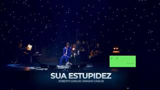 ROBERTO CARLOS   - Sua Estupidez   - OFICIAL