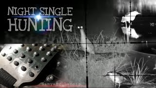 SINGLE HUNTING || Berburu koak di musim hujan