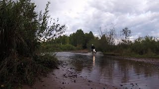 Yamaha XT350 - Nemadji State Forest OHV area