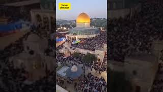 Million of people Gathered in the palestine al Aqsa Mosque and everywhere shouted Allahu Akbar