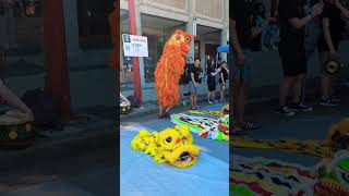 Lion and Dragon Dance ! A powerful display of culture and harmony #LionDance#FestivalPerformance