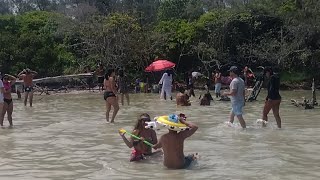 Cabo Frio Hoje - Ilha do Japonês Ao Vivo no último dia de Carnaval.