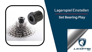 Licorne Bike Lagerspiel einstellen (Licorne Bike Set Bearing Play)