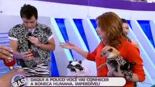 lindos acessórios para cachorros no palco do o melhor do brasil-o melhor do brasil 15/09/2013