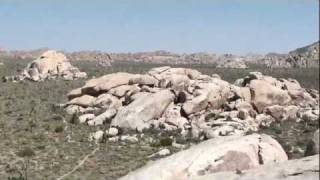 Joshua Tree National Park: Hall of Horrors