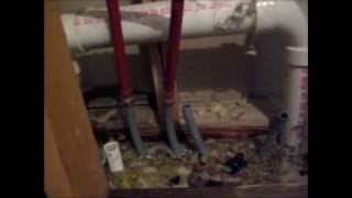 Polybutylene Plumbing Repair