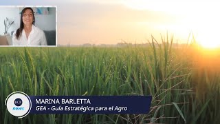 Marina Barletta - GEA - Guía Estratégica para el Agro | BCR