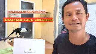 SURAT CINTA GOOGLE ADSENSE - TRIMAKASIH KICAU MANIA TRIMAKASIH PARA SUBCREBER