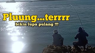 Full strike!!! Mancing Baronang bikin LUPA PULANG