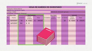 SISTEMA DE INVENTARIO PERPETUO