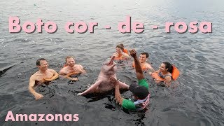 Mergulho com Botos cor-de- rosa | Amazonas