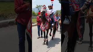 Kuda renggong Geboy #kudarenggong #kudasemedang #dancinghorse