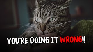 10 Common Mistakes Cat Owners Make | Are You Making these Mistakes?